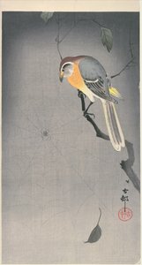 Oiseau sur une branche regardant une araignée, c. début 1900 - Ohara Koson